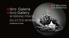 Taxidermy of Time - mikro Galeria 